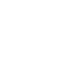 TNF Logo